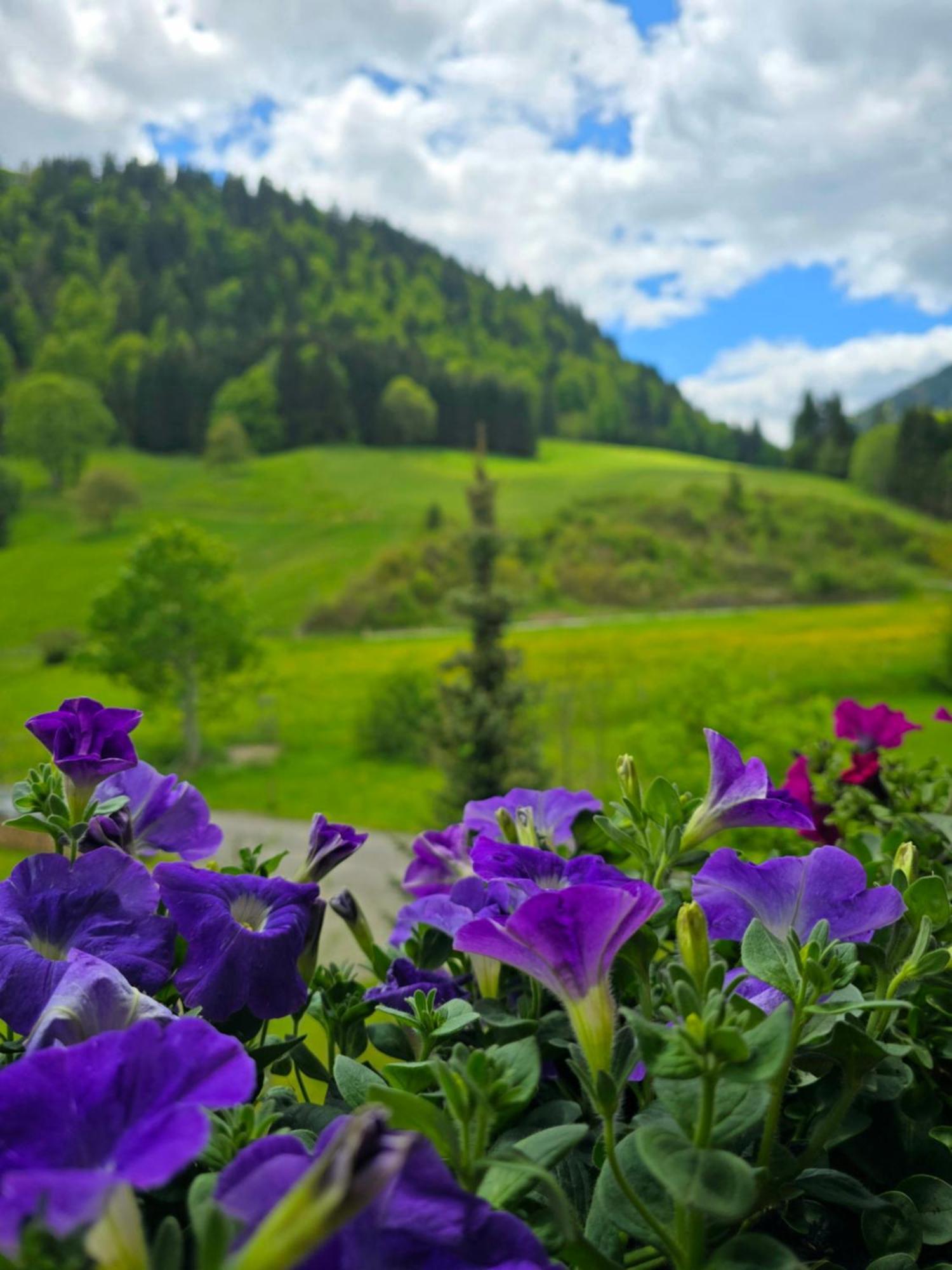 Standard Doppelzimmer